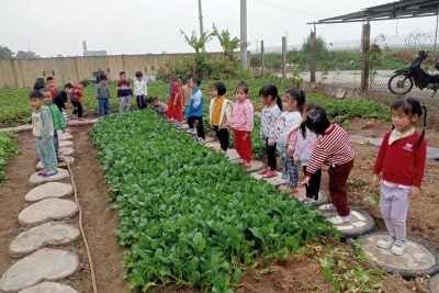 VƯỜN RAU CỦA BÉ